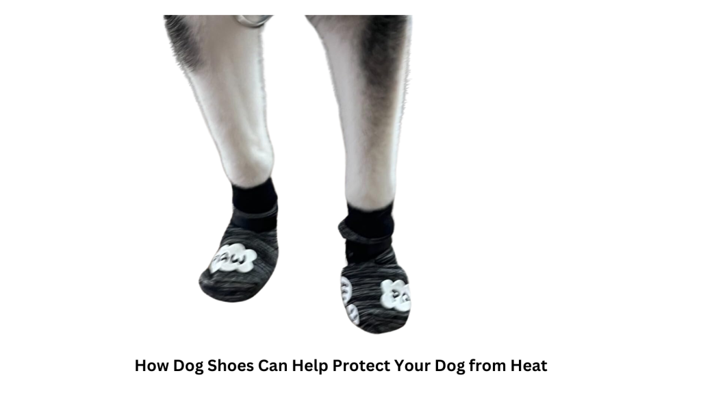 do dog shoes protect from heat