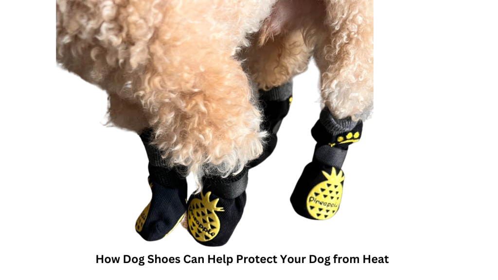 Do dog shoes protect from heat