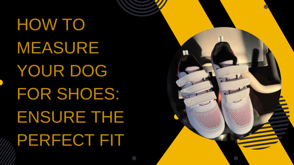 How to Measure Your Dog for Shoes: Ensure the Perfect Fit