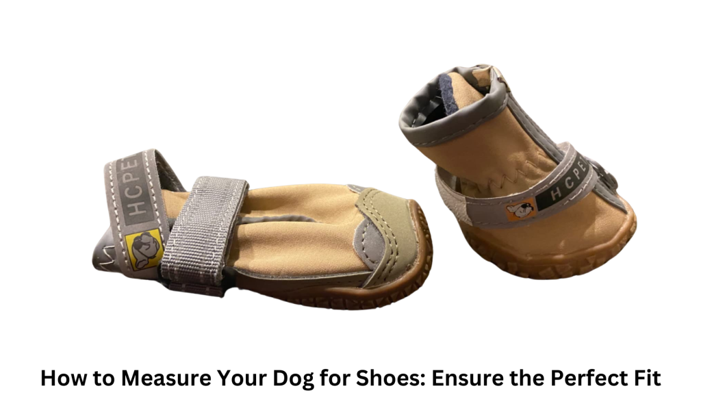 measure your dog for shoes