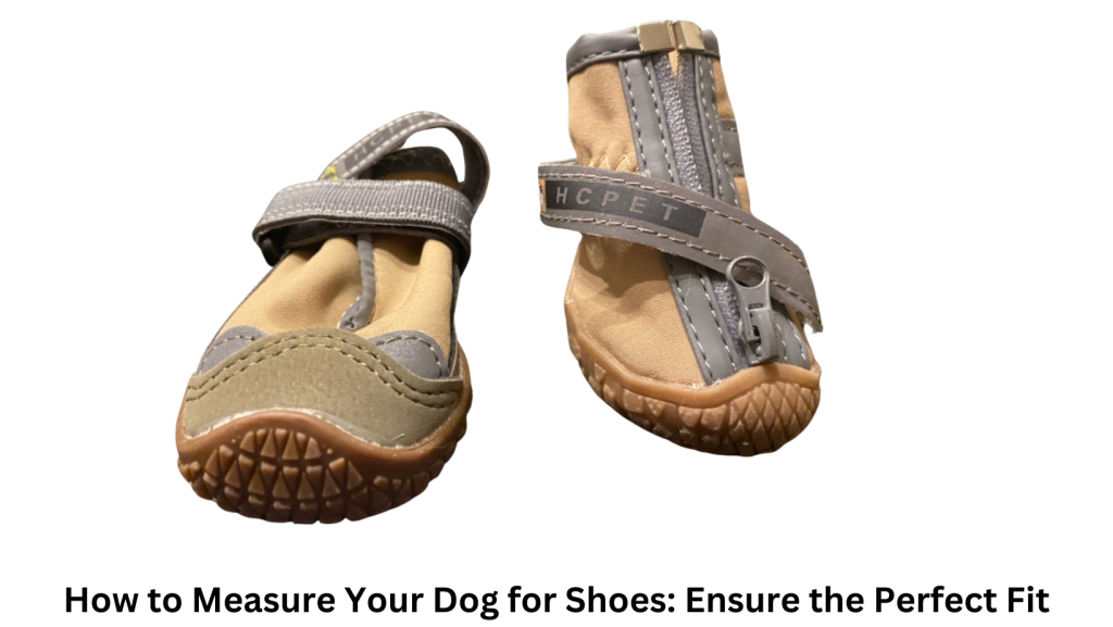 measure your dog for shoes