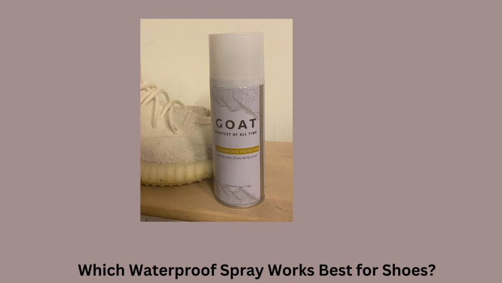 What is the best waterproof spray for shoes