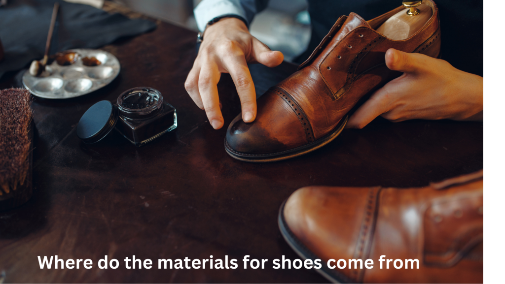 Where do the materials for shoes come from