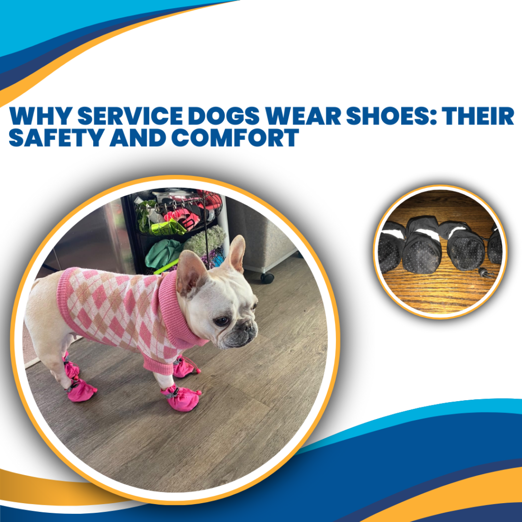 Why Service Dogs Wear Shoes Their Safety and Comfort