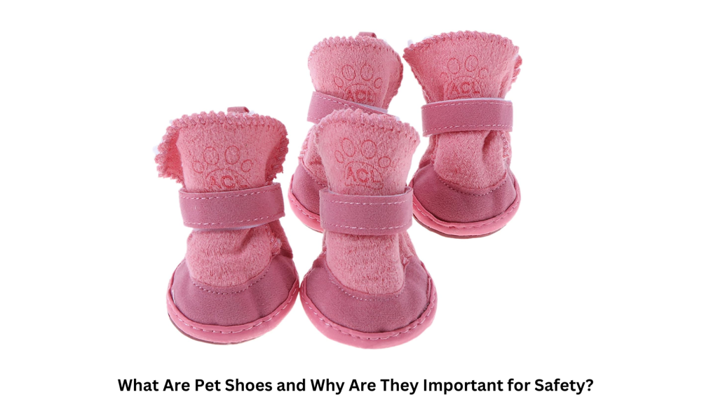 what are pet shoes and why are they important?