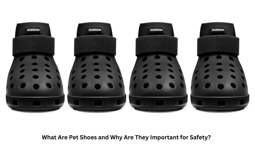 what are pet shoes and why are they important?