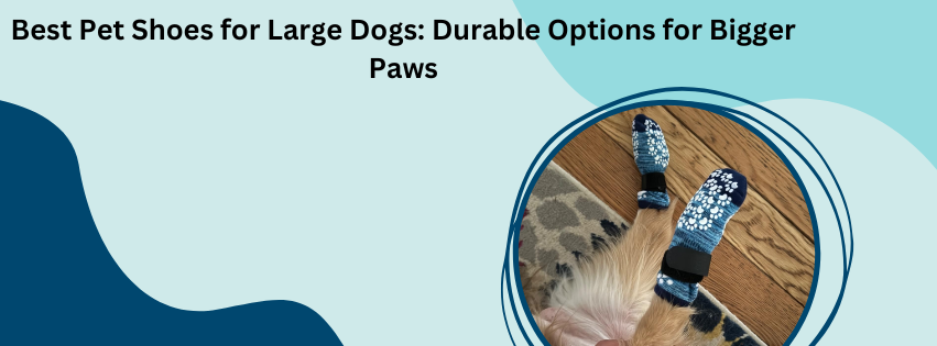 Best Pet Shoes for Large Dogs: Durable Options for Bigger Paws