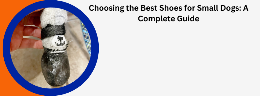 Choosing the Best Shoes for Small Dogs: A Complete Guide