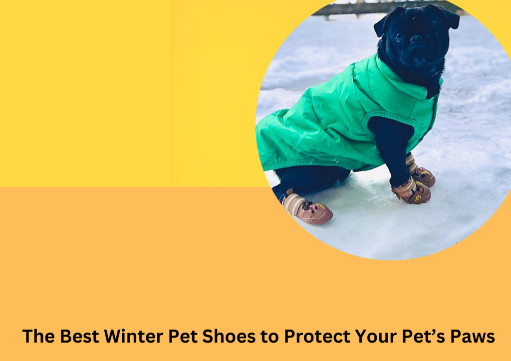 The Best Winter Pet Shoes to Protect Your Pet’s Paws