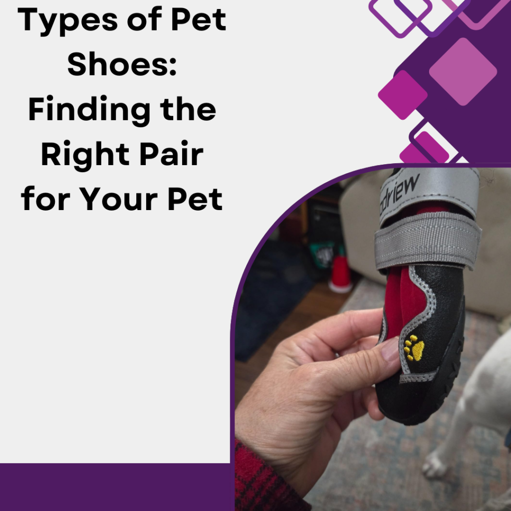 Types of Pet Shoes: Finding the Right Pair for Your Pet