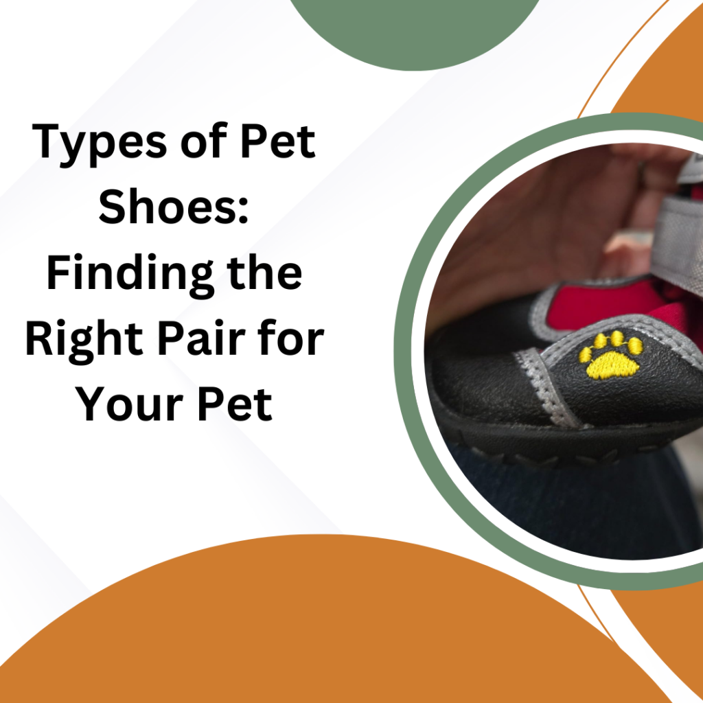 Types of Pet Shoes: Finding the Right Pair for Your Pet