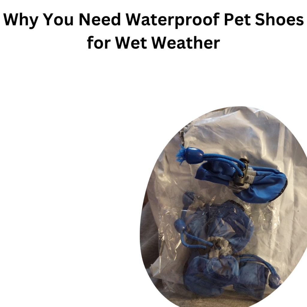 Why You Need Waterproof Pet Shoes for Wet Weather