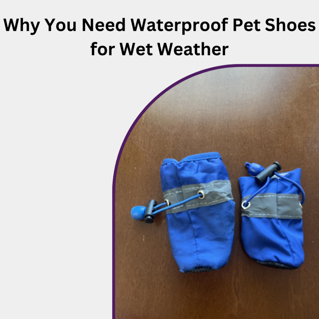 Why You Need Waterproof Pet Shoes for Wet Weather