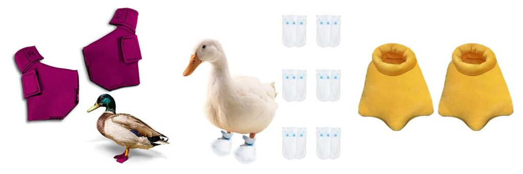 Shoes For Duck Feet combined image